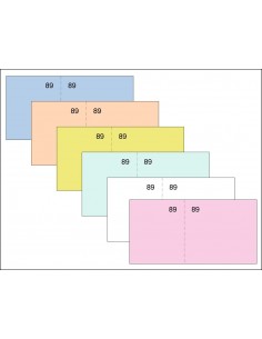 TALONARIO LOAN T29 CAJA...