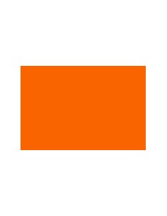 CARTULINA GUARRO CANSON A4...