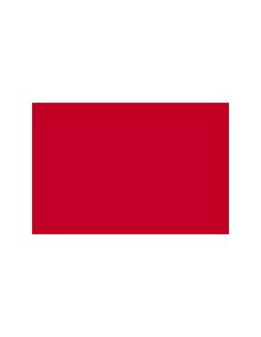 CARTULINA GUARRO CANSON A4...