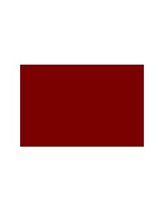 CARTULINA GUARRO CANSON A4...