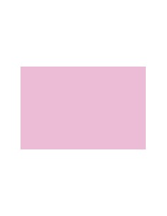 CARTULINA GUARRO CANSON A4...