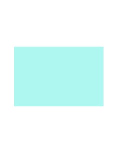 CARTULINA GUARRO CANSON A4...