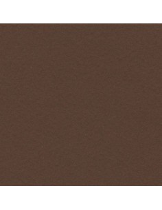 CARTULINA GUARRO CANSON A4...