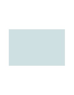 CARTULINA GUARRO CANSON A4...