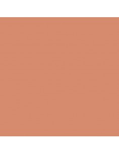 CARTULINA GUARRO CANSON A4...