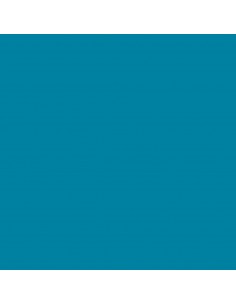 CARTULINA GUARRO CANSON A4...