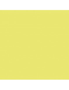 CARTULINA GUARRO CANSON A4...