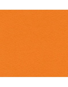 CARTULINA GUARRO CANSON A3...