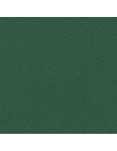 CARTULINA GUARRO CANSON A3...