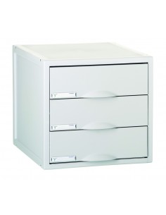 ORGANIZADOR ARCHIVO 2000...