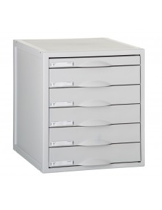 ORGANIZADOR ARCHIVO 2000...