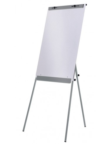 CABALLETE CONFERENCIAS MAGNETICO...