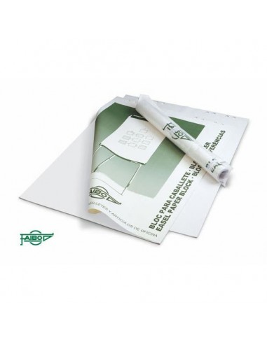 BLOC PAPEL CABALLETE CONFERENCIAS...