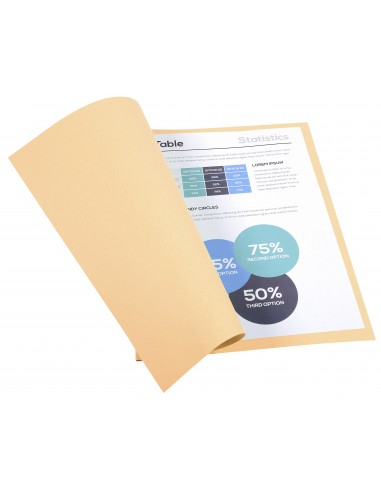 SUBCARPETAS FOLDYNE CLAIREFONTAINE A4...