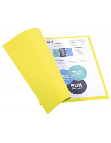 SUBCARPETAS FOLDYNE CLAIREFONTAINE A4...