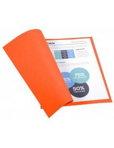 SUBCARPETAS FOLDYNE...