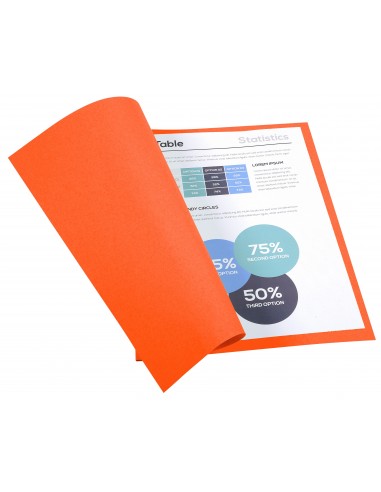 SUBCARPETAS FOLDYNE CLAIREFONTAINE A4...