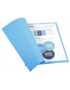 SUBCARPETAS FOLDYNE...