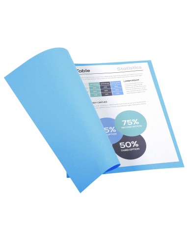 SUBCARPETAS FOLDYNE CLAIREFONTAINE A4...