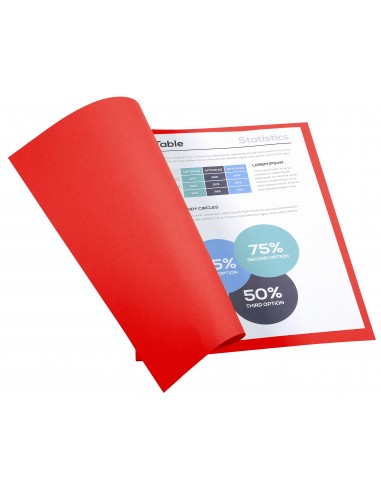 SUBCARPETAS FOLDYNE CLAIREFONTAINE A4...