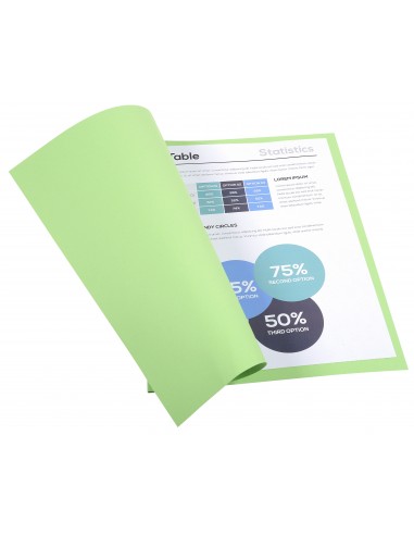 SUBCARPETAS FOLDYNE CLAIREFONTAINE A4...