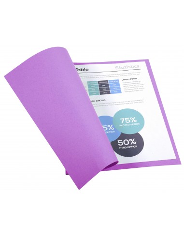 SUBCARPETAS FOLDYNE CLAIREFONTAINE A4...