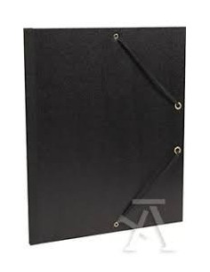 CARPETA CARTON DIBUJO...