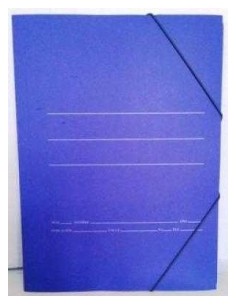 CARPETA CARTON MATE GOMAS...