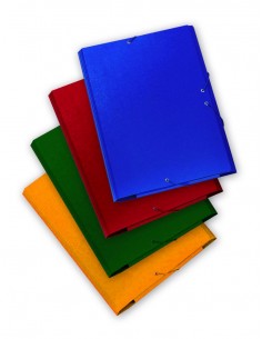 CARPETA CARTON GOFRADO...