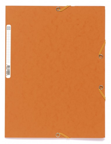 CARPETA CARTON CON GOMAS...