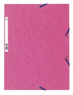 CARPETA CARTON CON GOMAS...