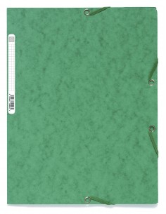 CARPETA CARTON CON GOMAS...