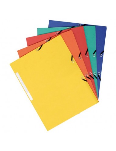 CARPETA CARTON CON GOMAS...