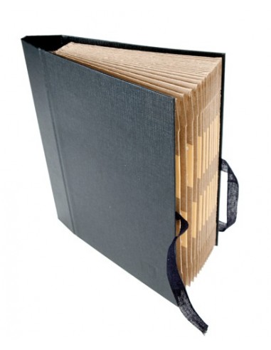 CARPETA CARTON FUELLE MARIOLA FOLIO...