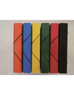 CARPETA PROYECTOS CARTON...