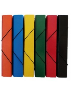 CARPETA PROYECTOS CARTON...