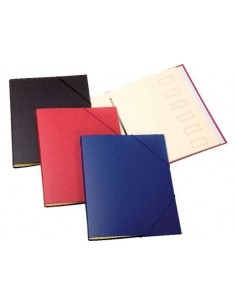 CARPETA CLASIFICADORA...