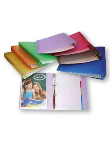 SWEETCOLOR CARPETA PLASTICO DA4...