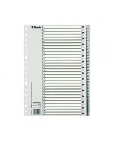 INDICE ESSELTE NUMERICO 1-31 FOLIO