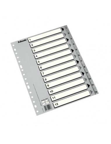 INDICE ESSELTE NUMERIO 1-12 DA4