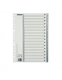 INDICE ESSELTE NUMERICO...