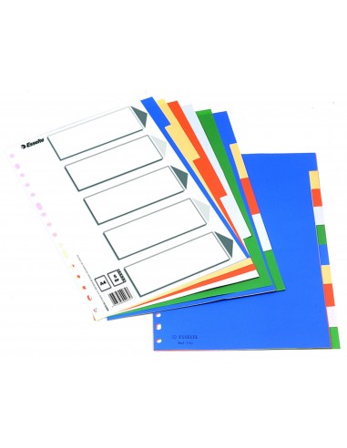 JUEGO SEPARADORES ESSELTE FOLIO 5...