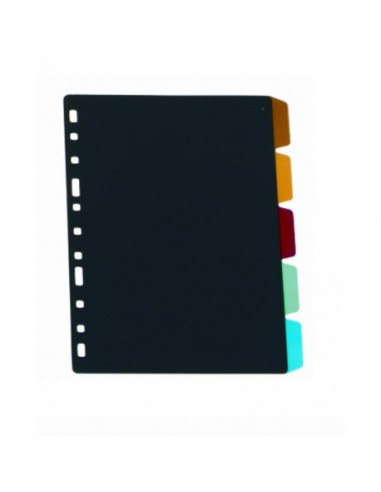 IBERPLAS JUEGO SEPARADORES PVC FOLIO...