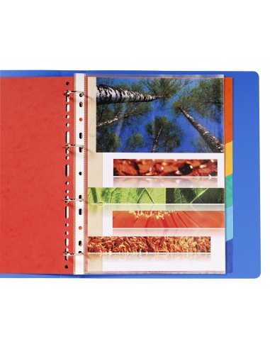 SEPARADORES CARTULINA PLUS...