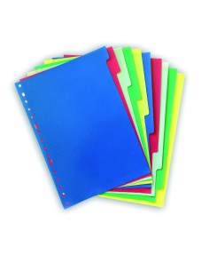 SEPARADOR CARTULINA...