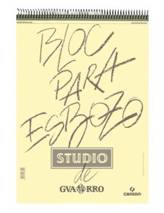 PAPEL ESBOZO GUARRO CANSON...