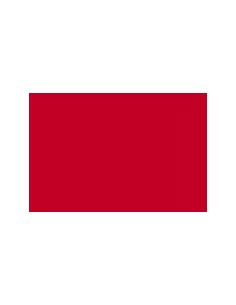 CARTULINA IRIS GUARRO...