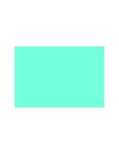 CARTULINA IRIS GUARRO...