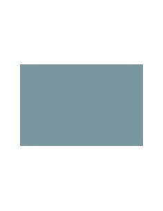 CARTULINA IRIS GUARRO...