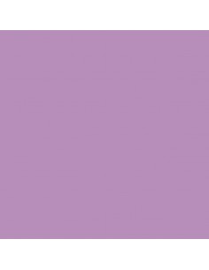 CARTULINA IRIS GUARRO...